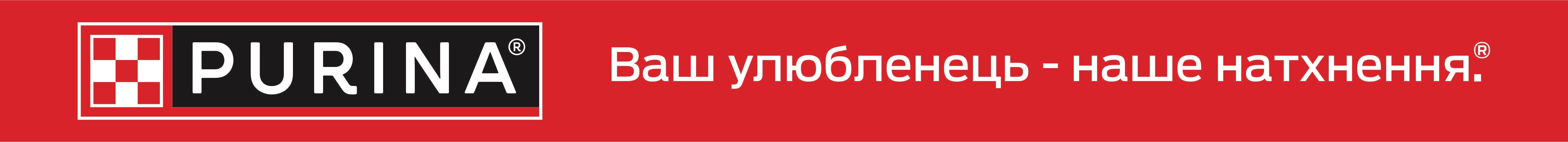 Анкета