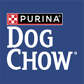 Анкета